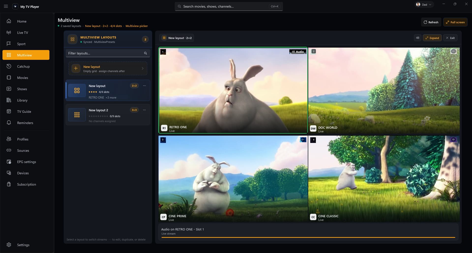 Four channels playing at once in a two-by-two multiview wall, with the audio on one pane.